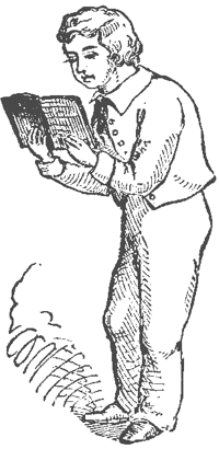 img12.jpg
