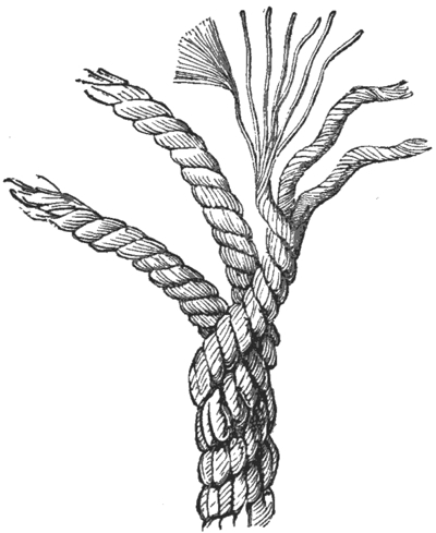 img17.jpg