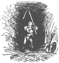 img5.jpg
