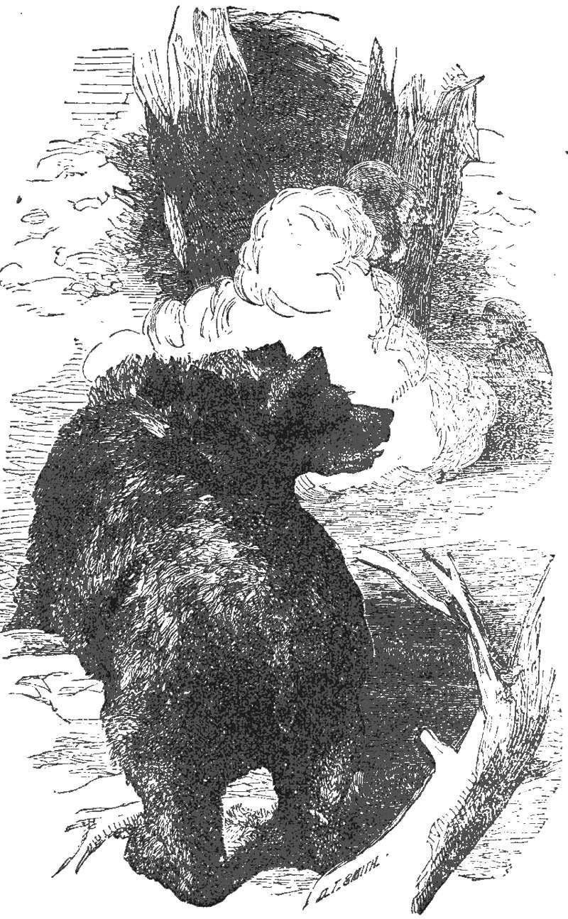 img7.jpg