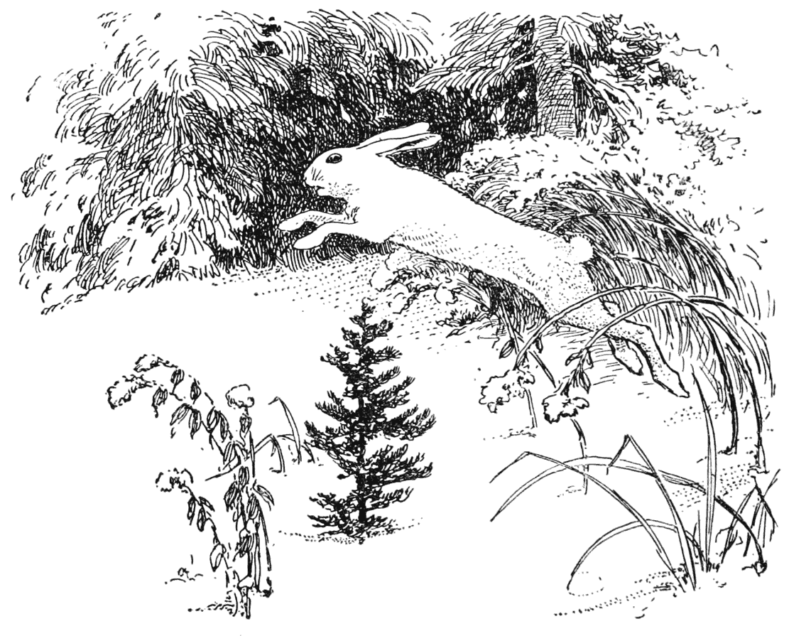 img13.png