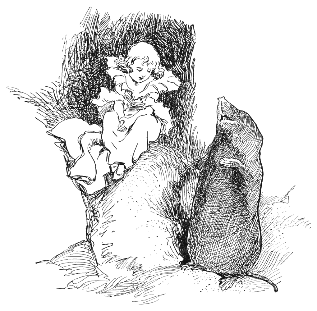img21.png