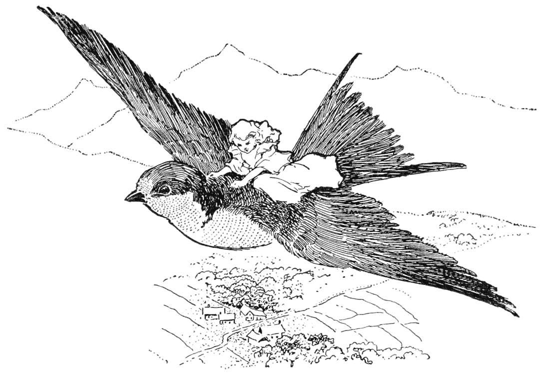 img22.png