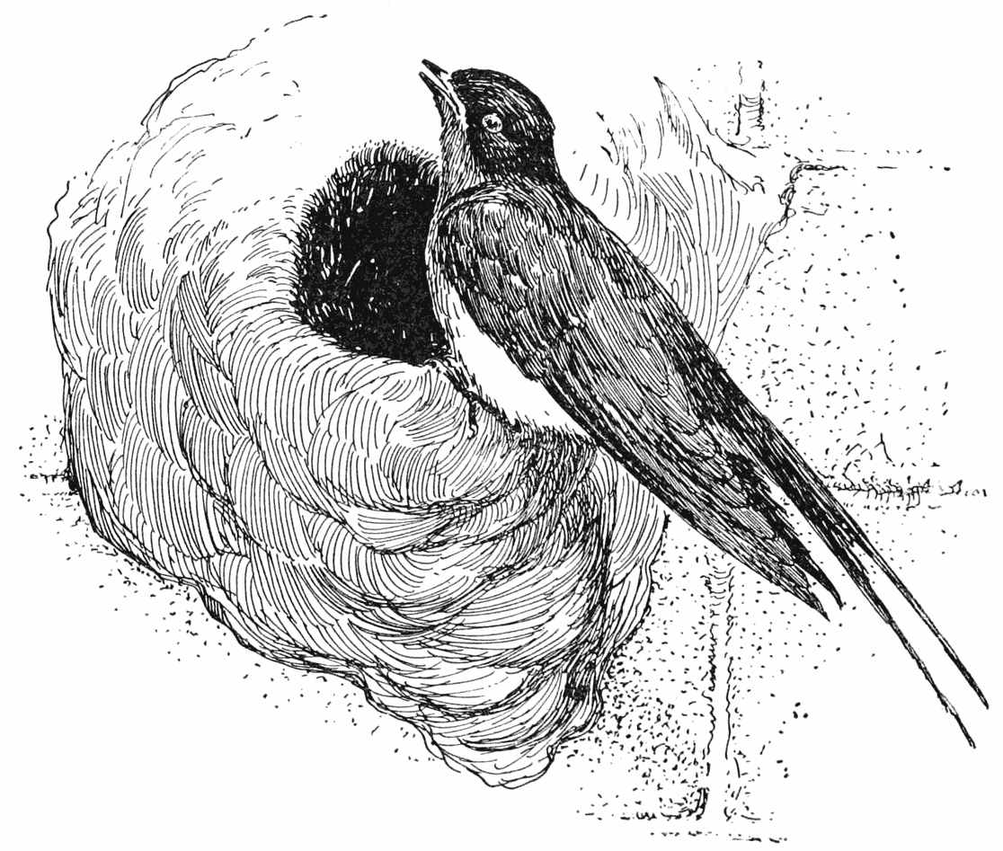 img23.png