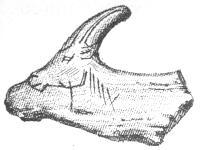 img10.jpg