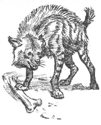 img15.jpg
