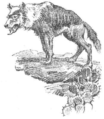 img16.jpg