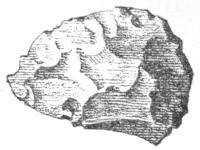 img18.jpg