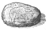 img19.jpg