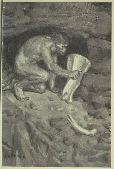 img4.jpg