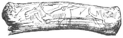img5.jpg
