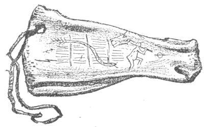 img7.jpg
