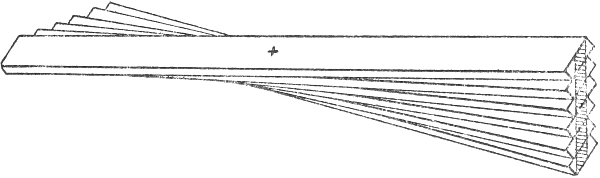 img10.jpg