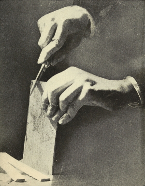 img12.jpg