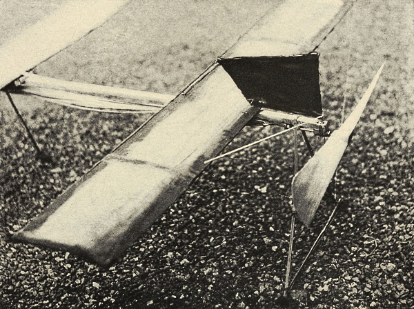 img15.jpg