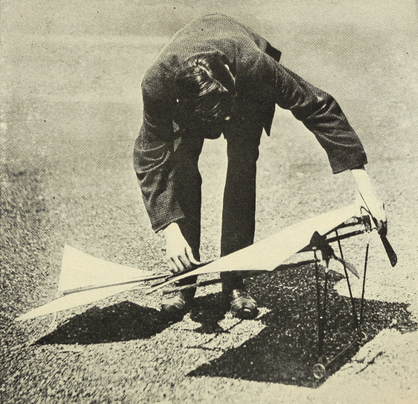 img21.jpg