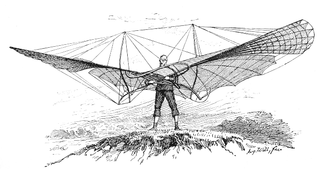 img46.jpg