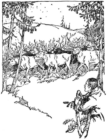 img10.jpg