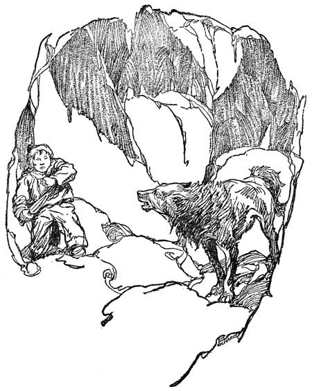 img11.jpg