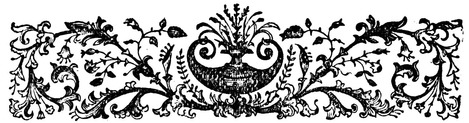img6.jpg