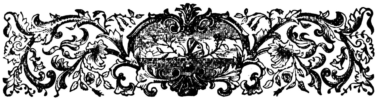 img9.jpg