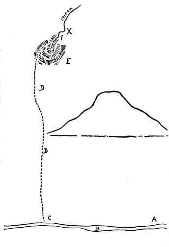 img2.jpg