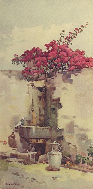 img2.jpg