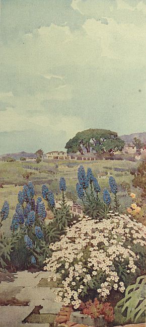 img20.jpg