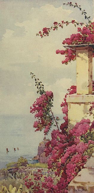 img21.jpg