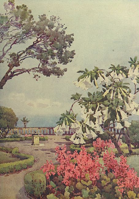 img5.jpg