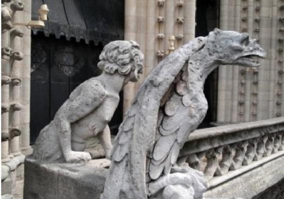 Image 21