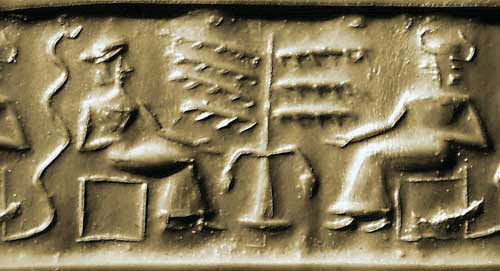 Image 20