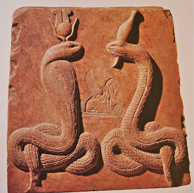 Image 23
