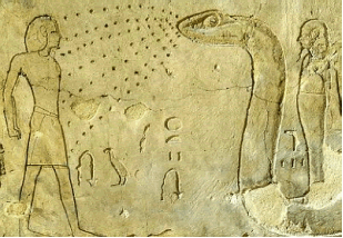 Image 32