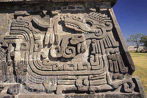 Image 56