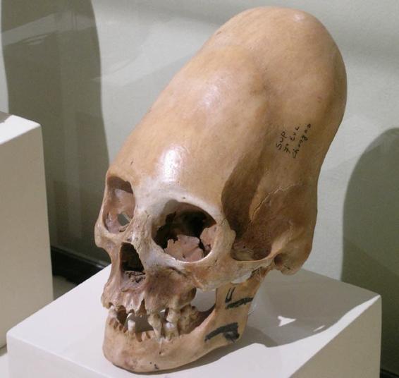 Image 77