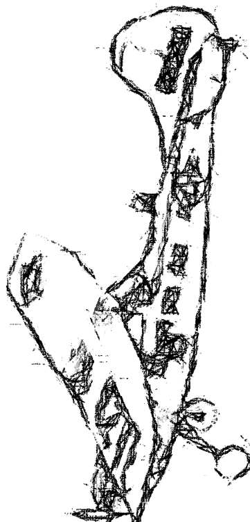 Image 17