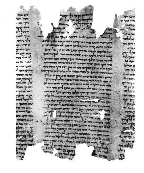 Image 29