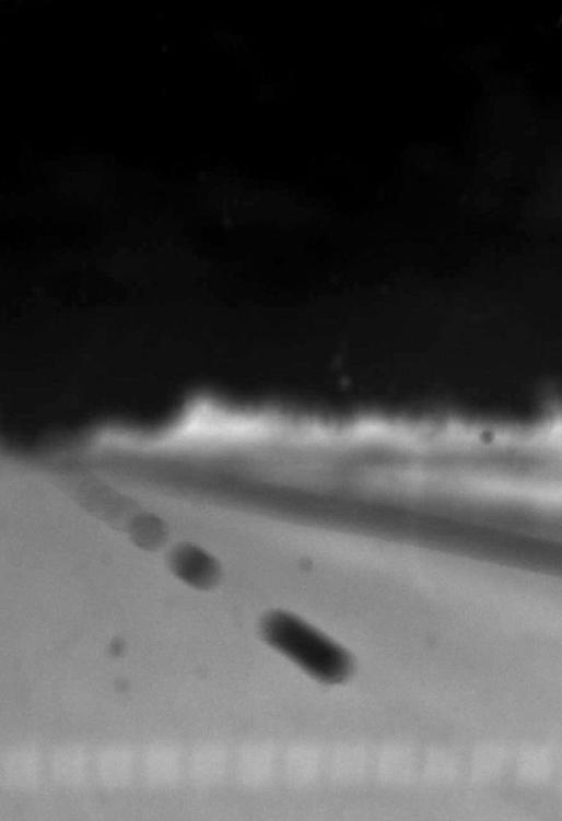 Image 36