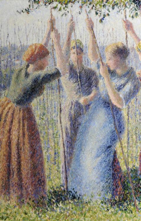 Image 177