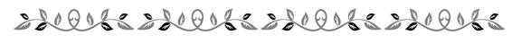 Image 23