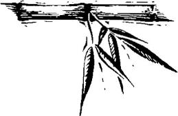 Image 69