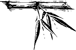 Image 79