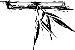 Image 37