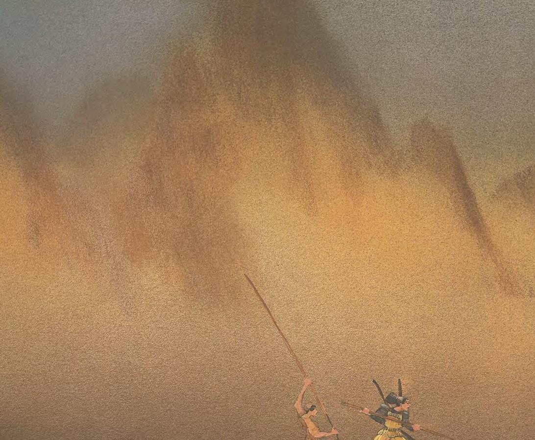 Image 41