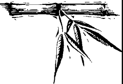 Image 65