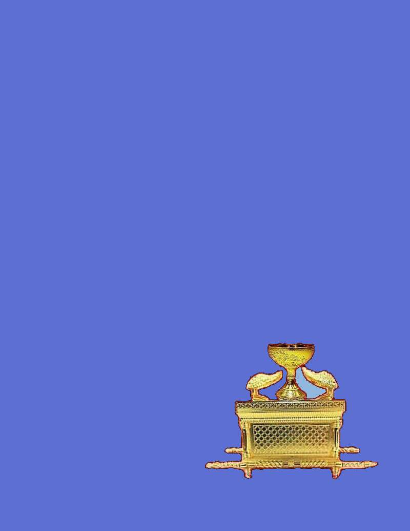 Image 29