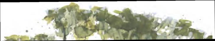 Image 33