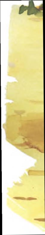 Image 34