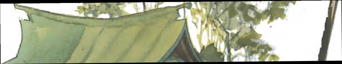 Image 37